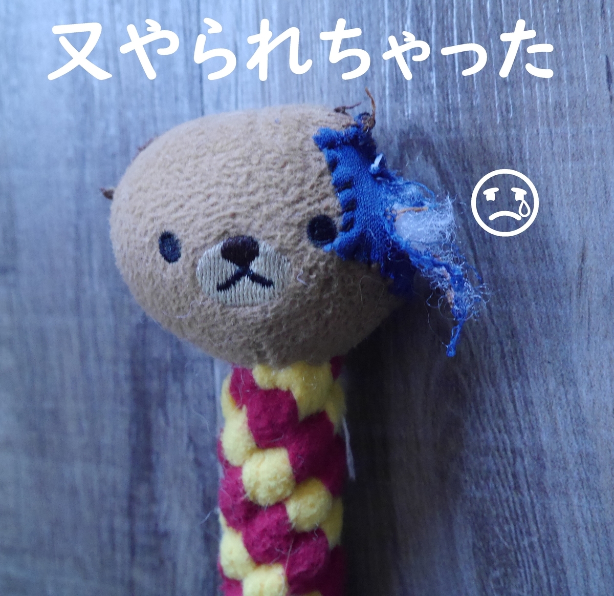 f:id:hanatara:20210602111213j:plain