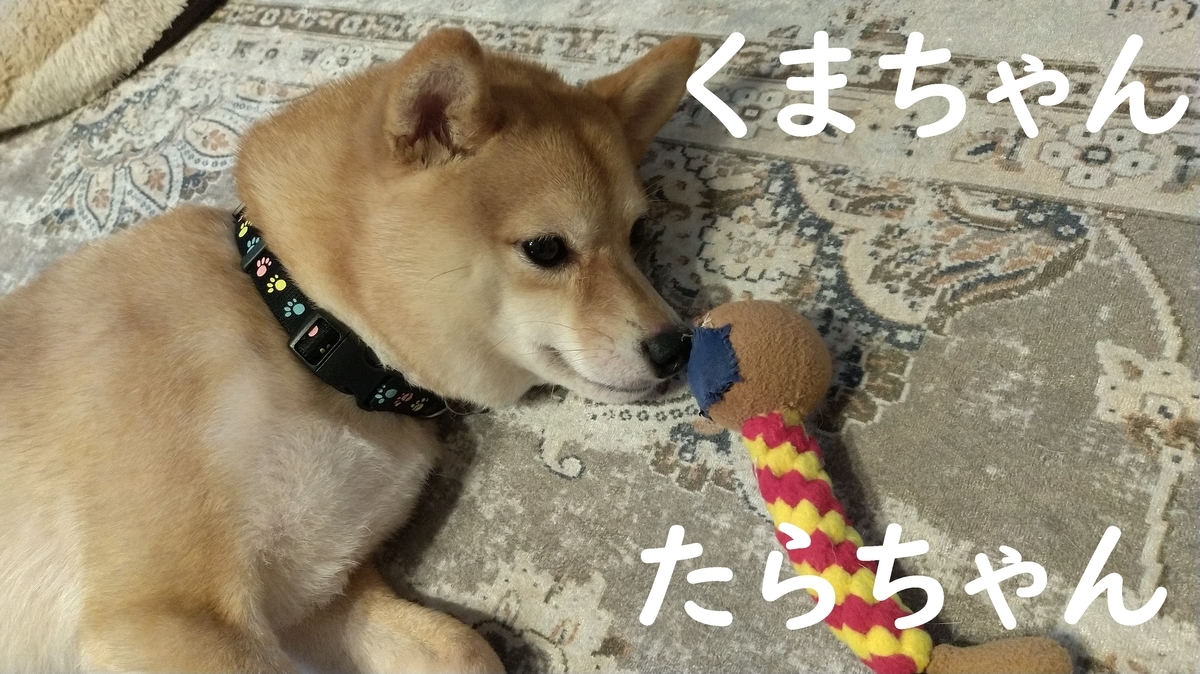 f:id:hanatara:20210606083529j:plain