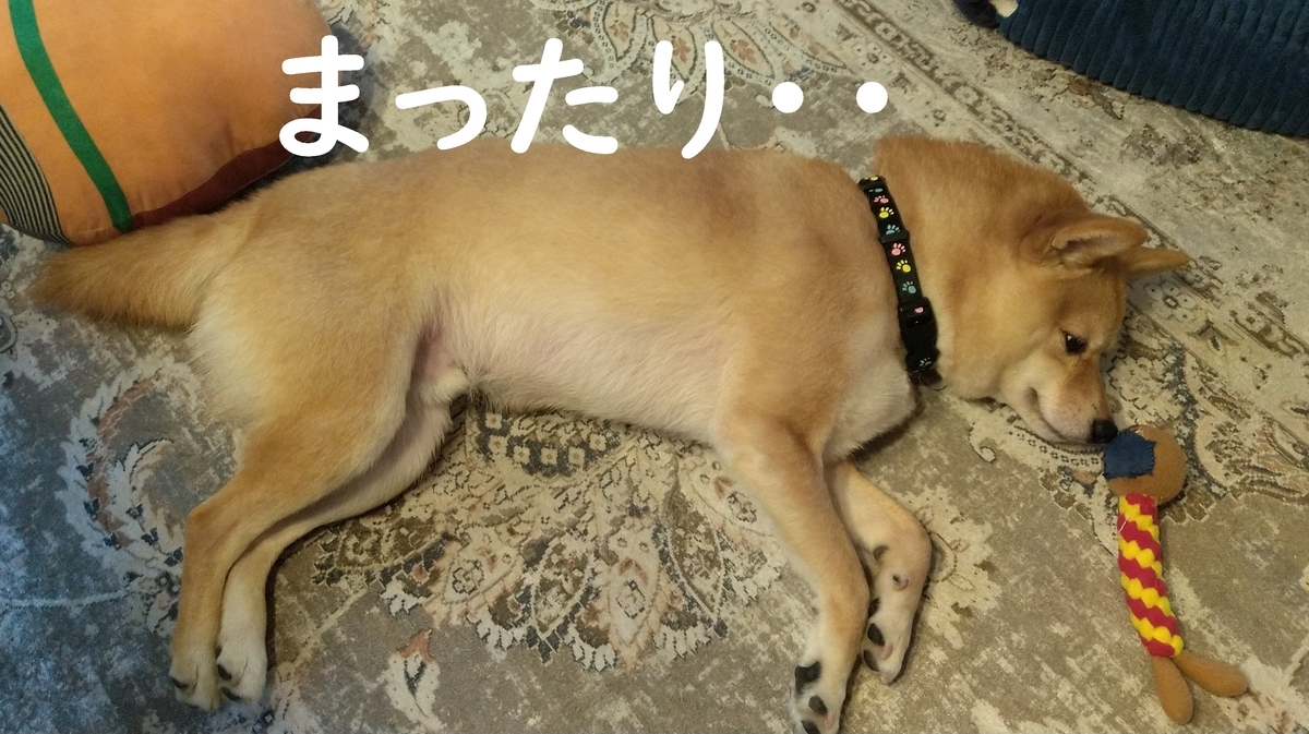 f:id:hanatara:20210606083638j:plain