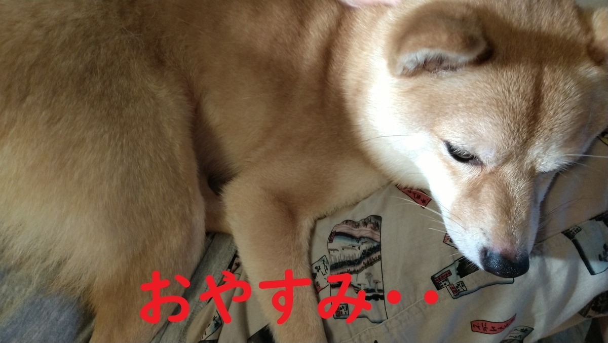f:id:hanatara:20210608103110j:plain