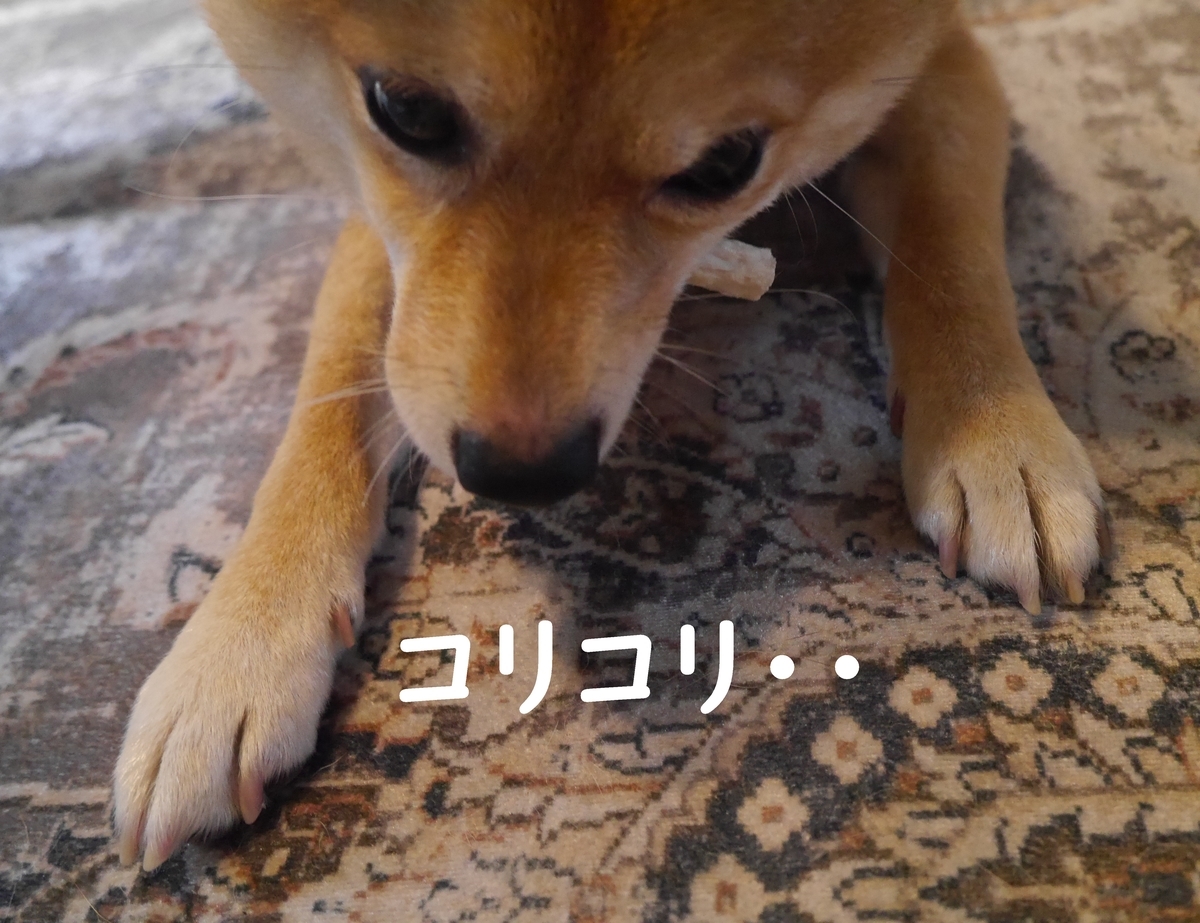 f:id:hanatara:20210608105840j:plain