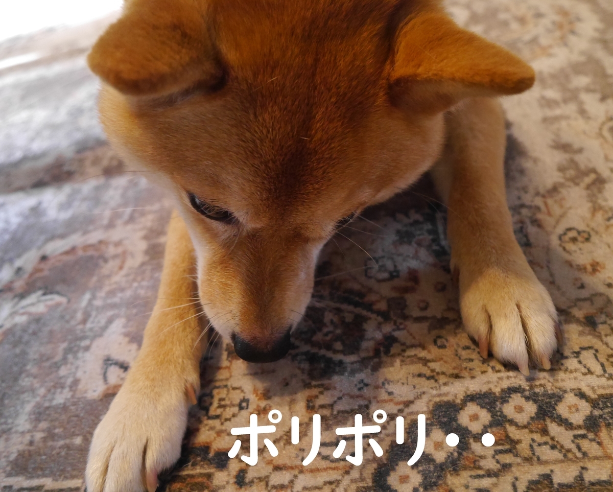 f:id:hanatara:20210608110024j:plain