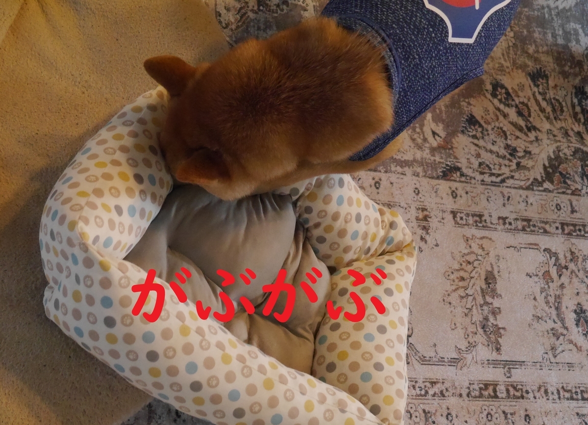 f:id:hanatara:20210612113618j:plain