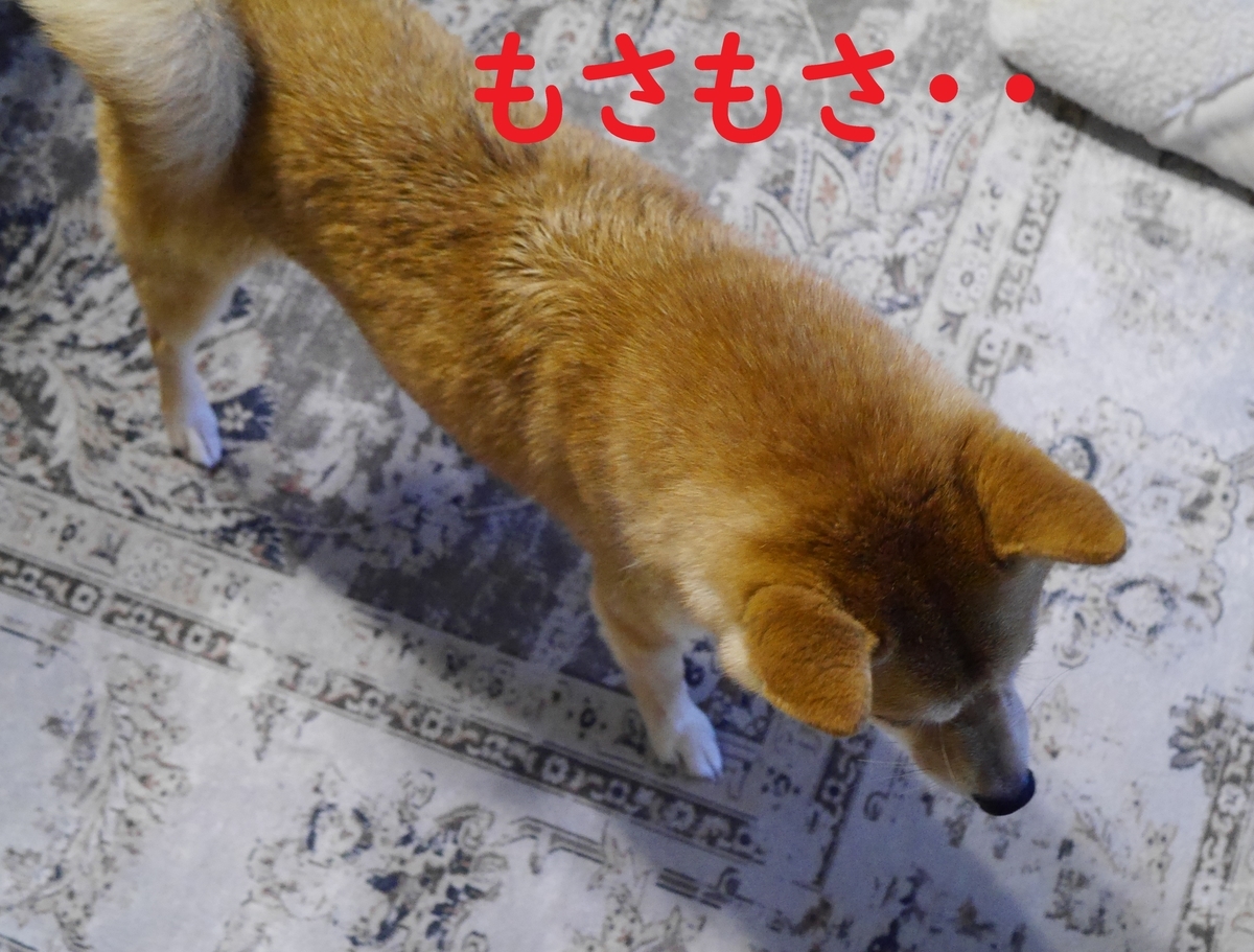 f:id:hanatara:20210620104340j:plain