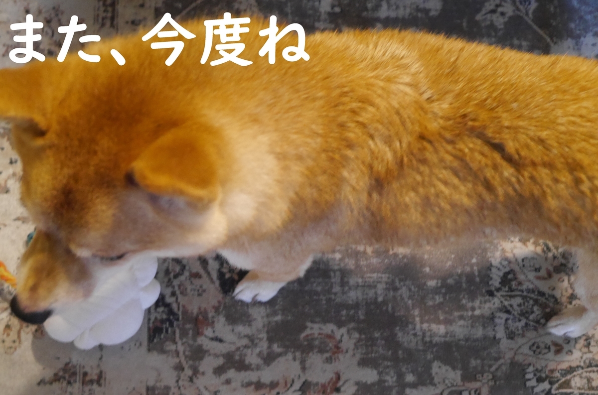 f:id:hanatara:20210620105110j:plain