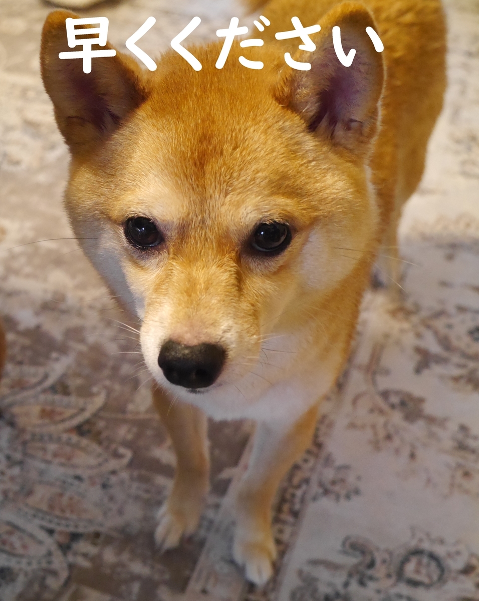 f:id:hanatara:20210620105350j:plain