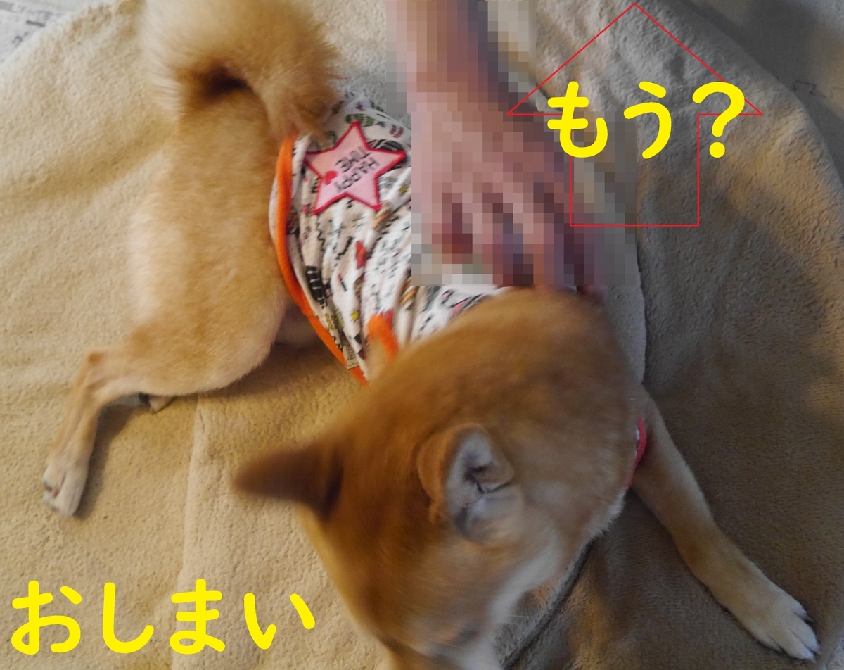 f:id:hanatara:20210629084413j:plain