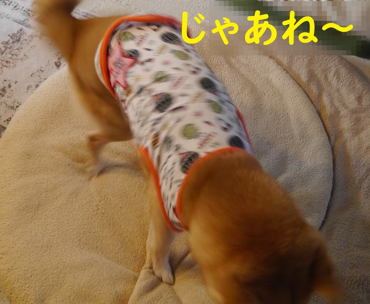 f:id:hanatara:20210629084603j:plain