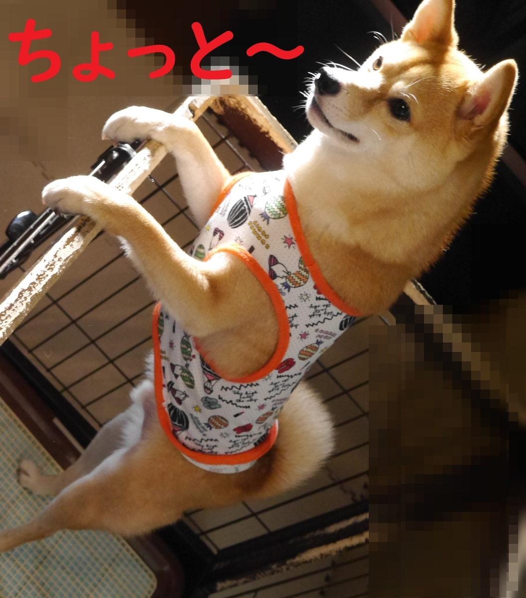 f:id:hanatara:20210704111744j:plain