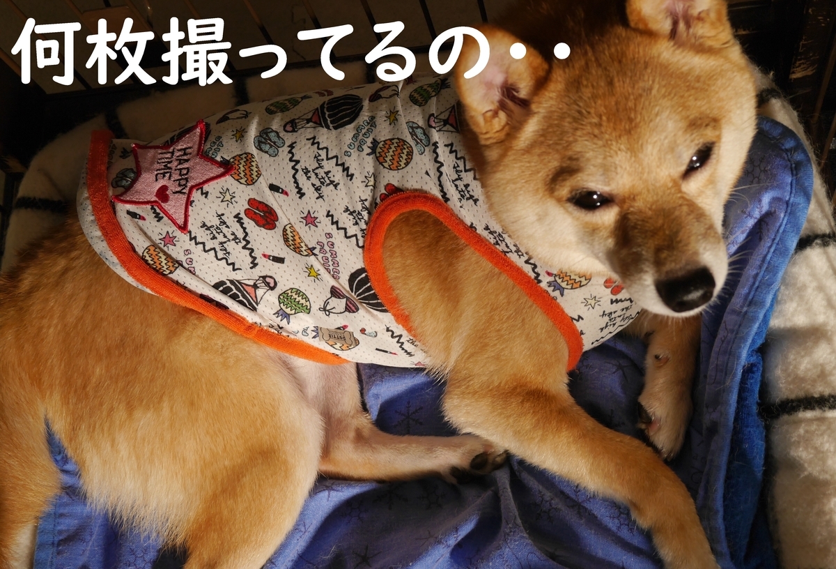 f:id:hanatara:20210707090021j:plain