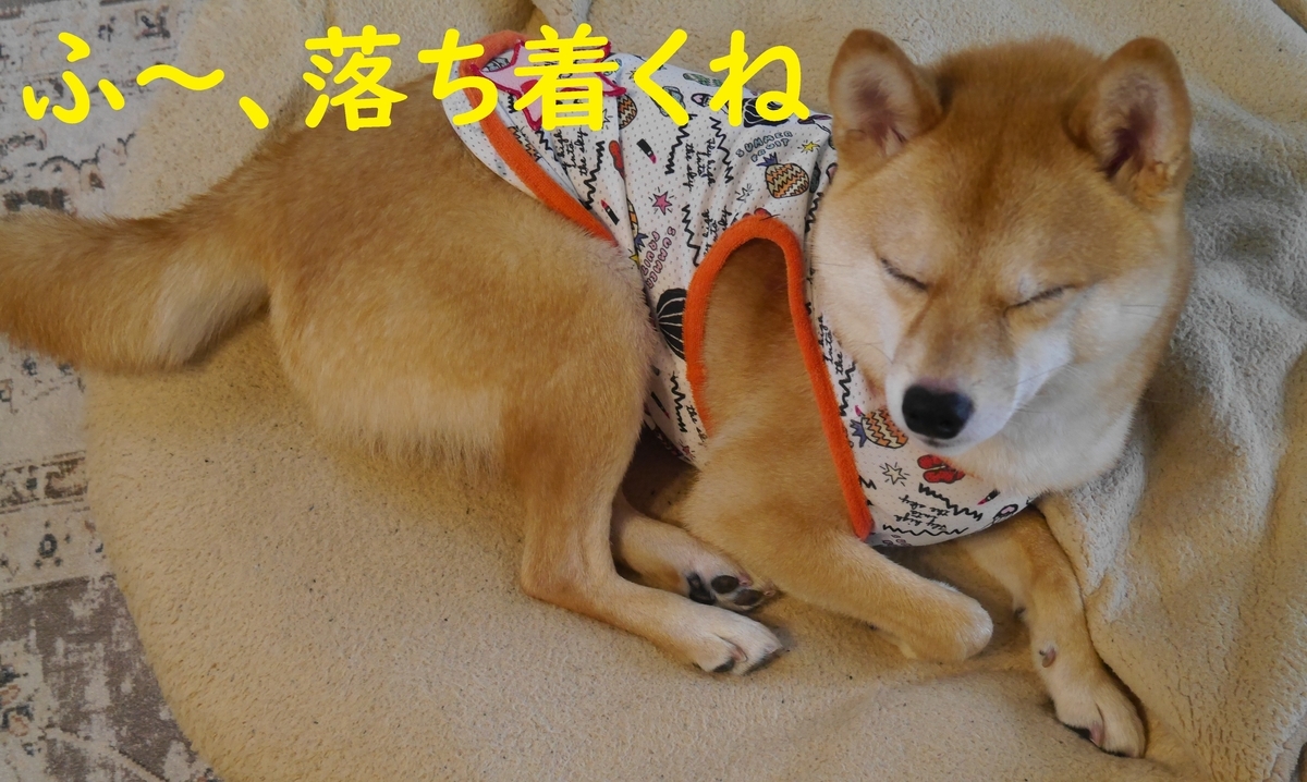 f:id:hanatara:20210707090524j:plain