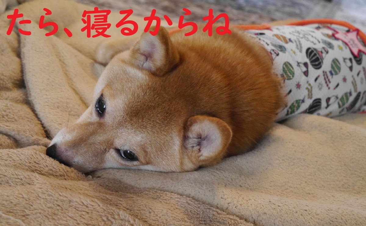 f:id:hanatara:20210707090809j:plain