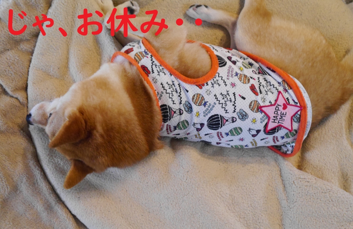 f:id:hanatara:20210707091010j:plain