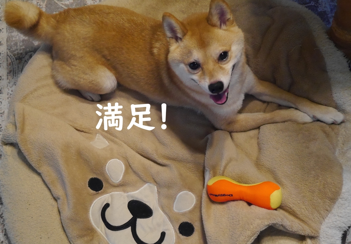f:id:hanatara:20210707094028j:plain