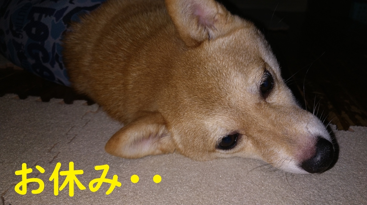 f:id:hanatara:20210710083215j:plain