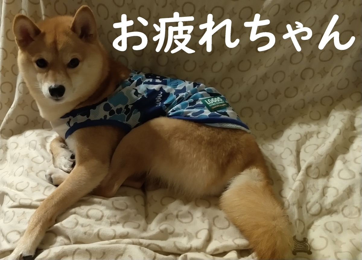 f:id:hanatara:20210710084237j:plain