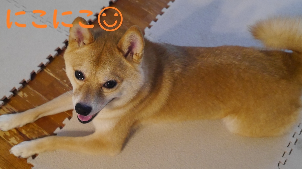 f:id:hanatara:20210710094226j:plain