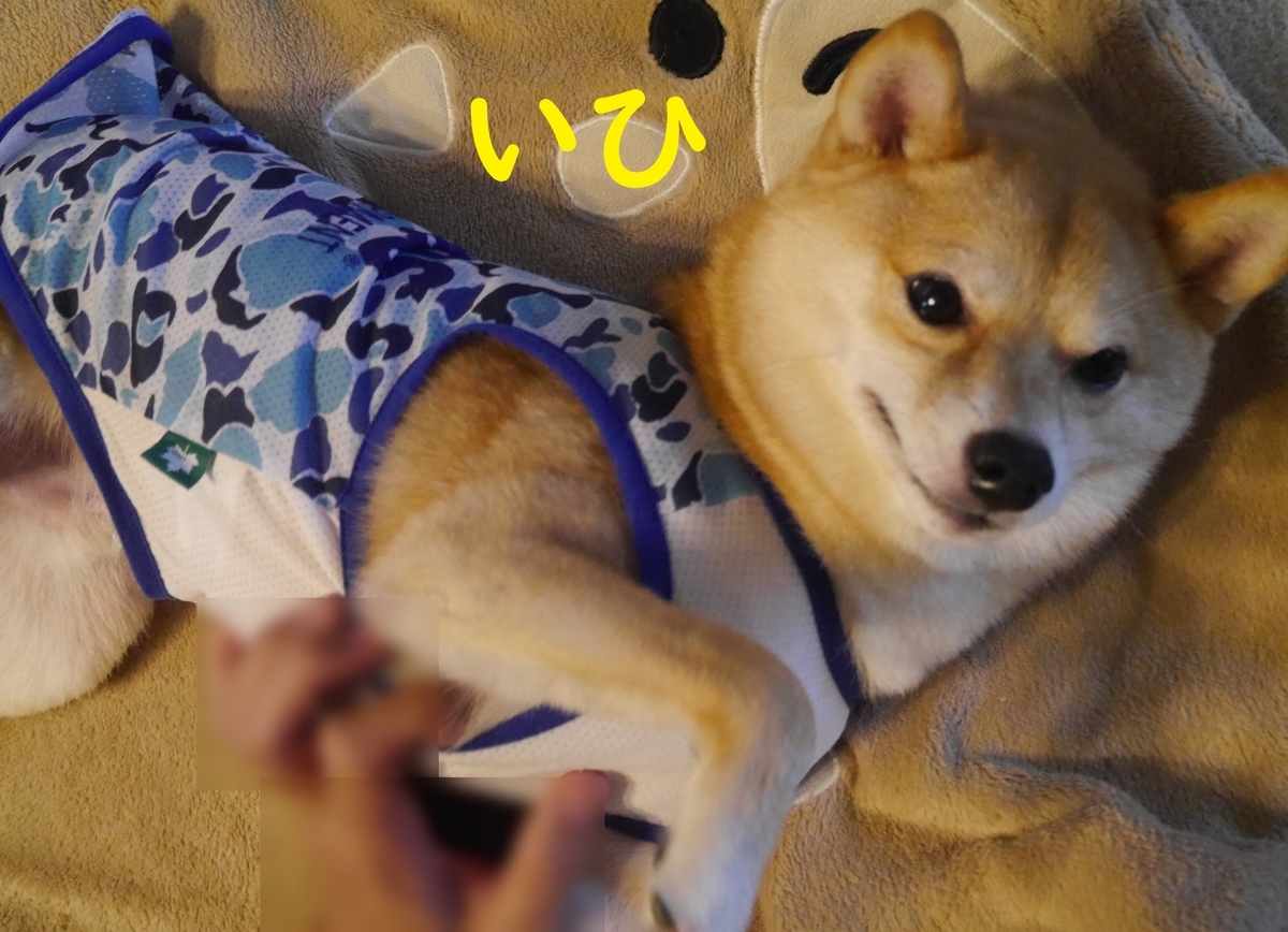 f:id:hanatara:20210711085254j:plain
