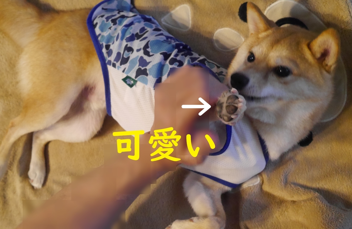 f:id:hanatara:20210711085727j:plain