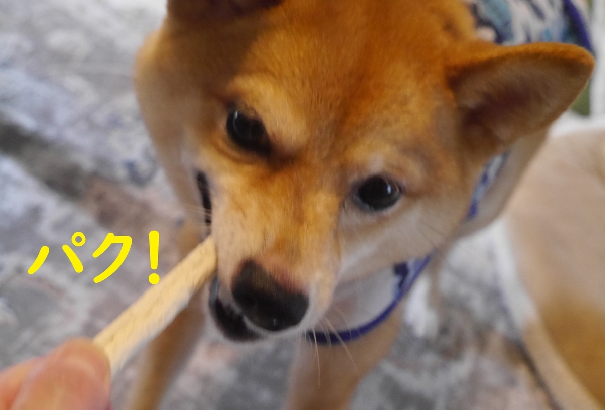 f:id:hanatara:20210711095415j:plain