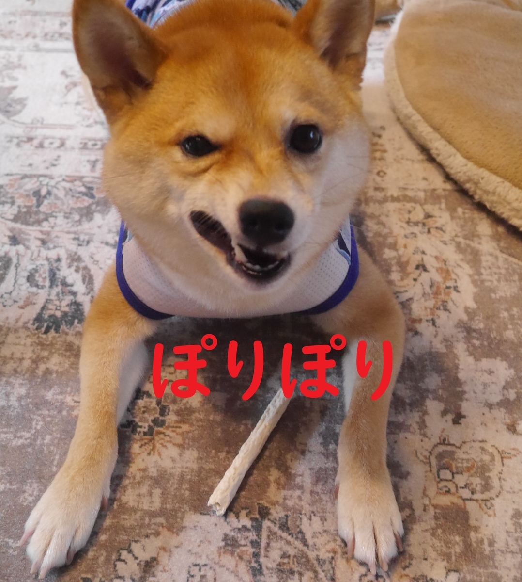 f:id:hanatara:20210711095702j:plain