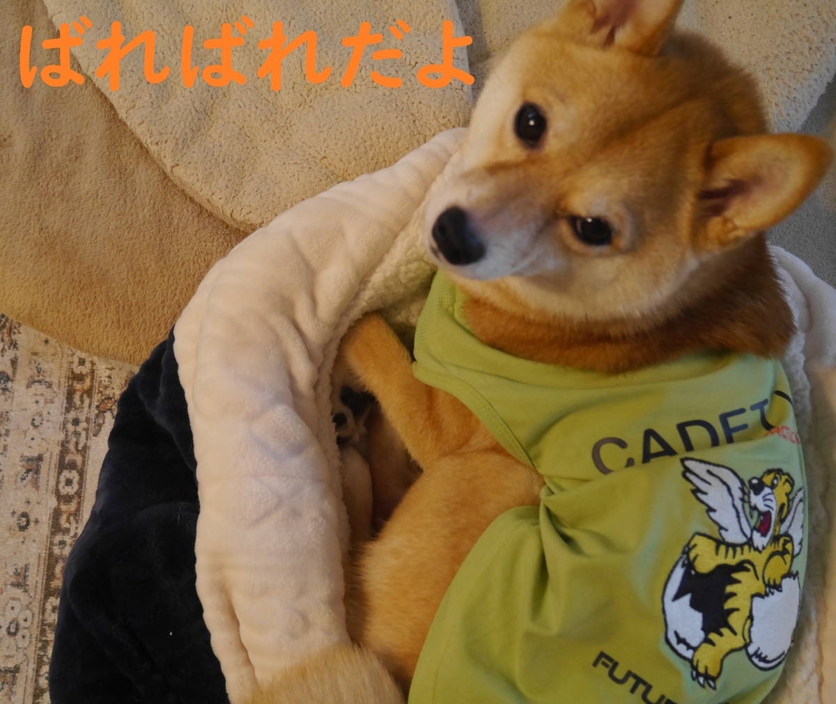 f:id:hanatara:20210717112638j:plain