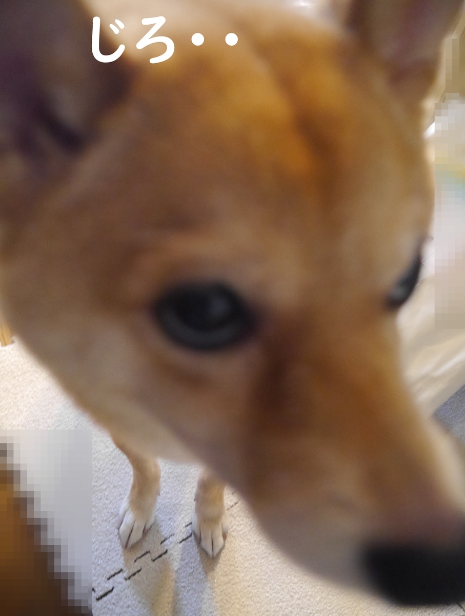 f:id:hanatara:20210722074823j:plain