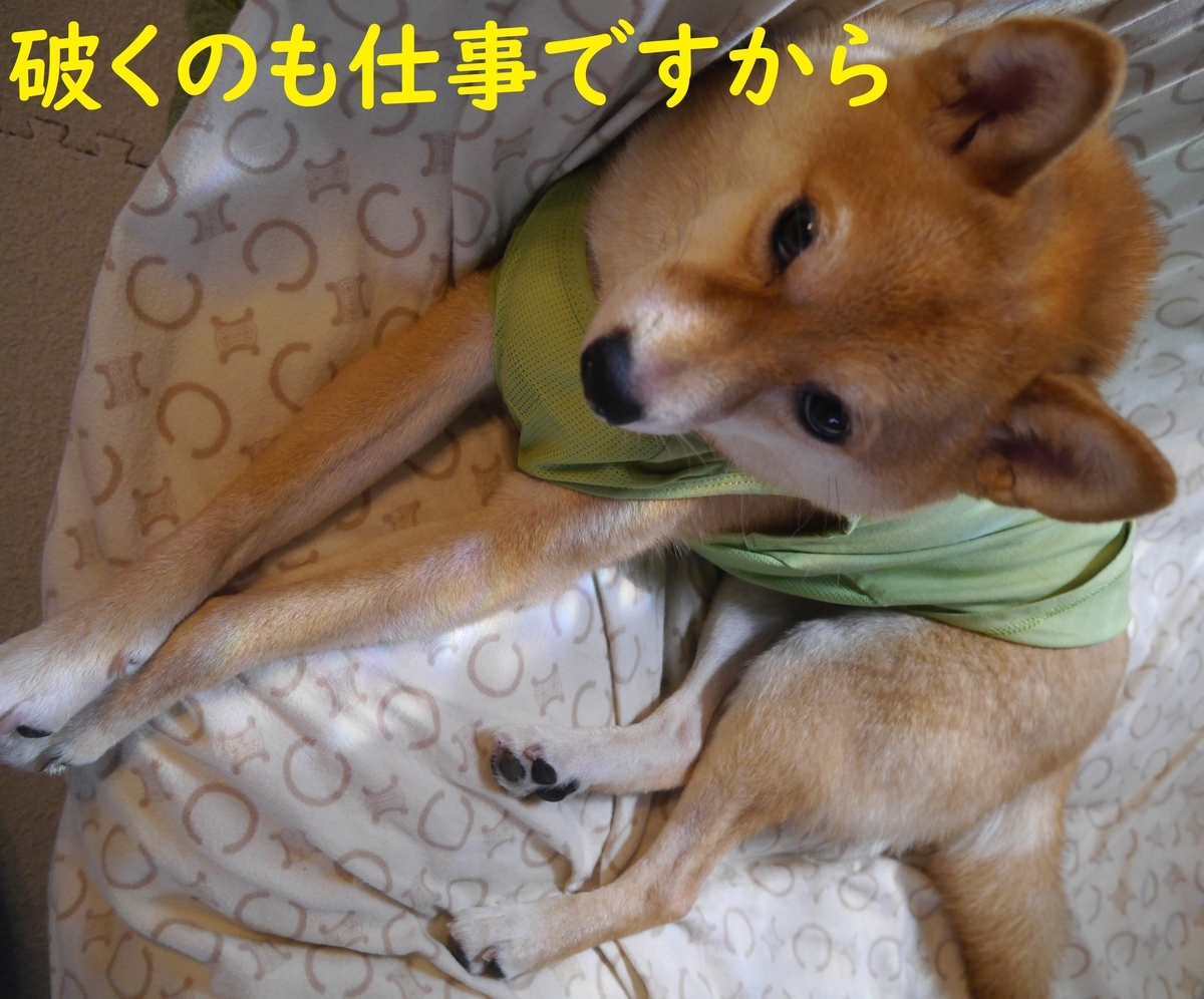 f:id:hanatara:20210722075315j:plain
