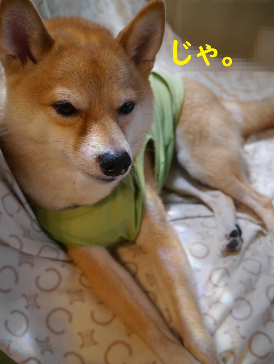 f:id:hanatara:20210722075503j:plain