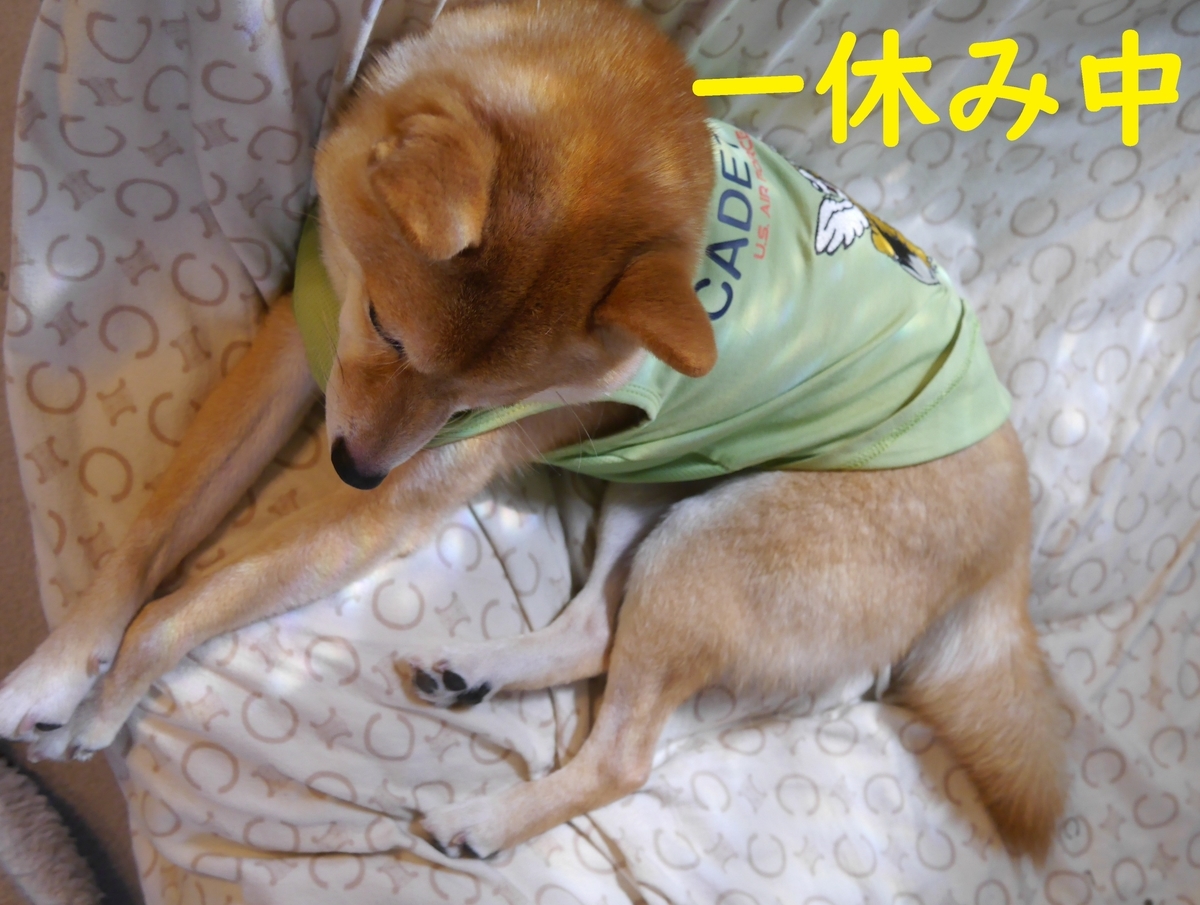 f:id:hanatara:20210722075537j:plain