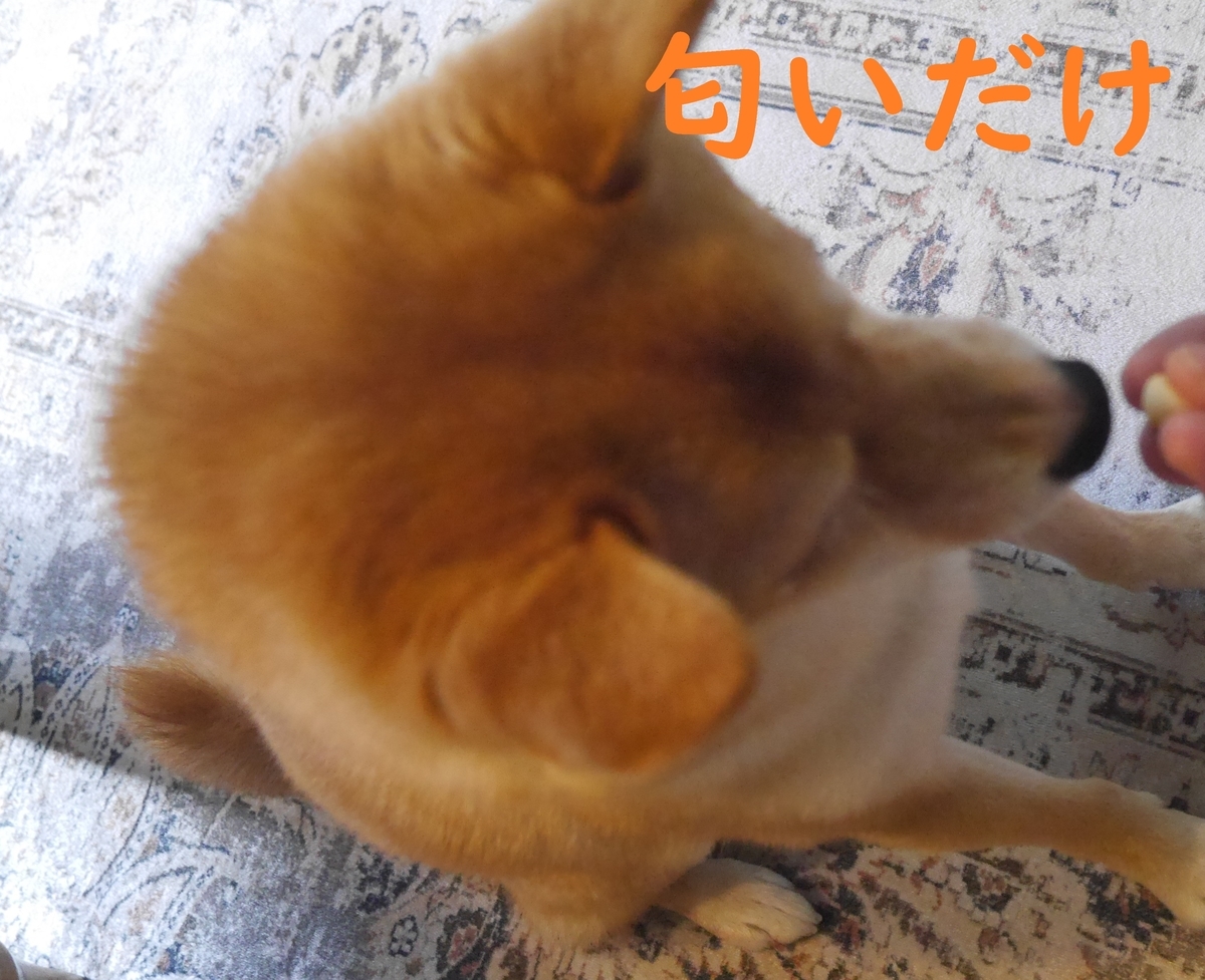 f:id:hanatara:20210724083805j:plain