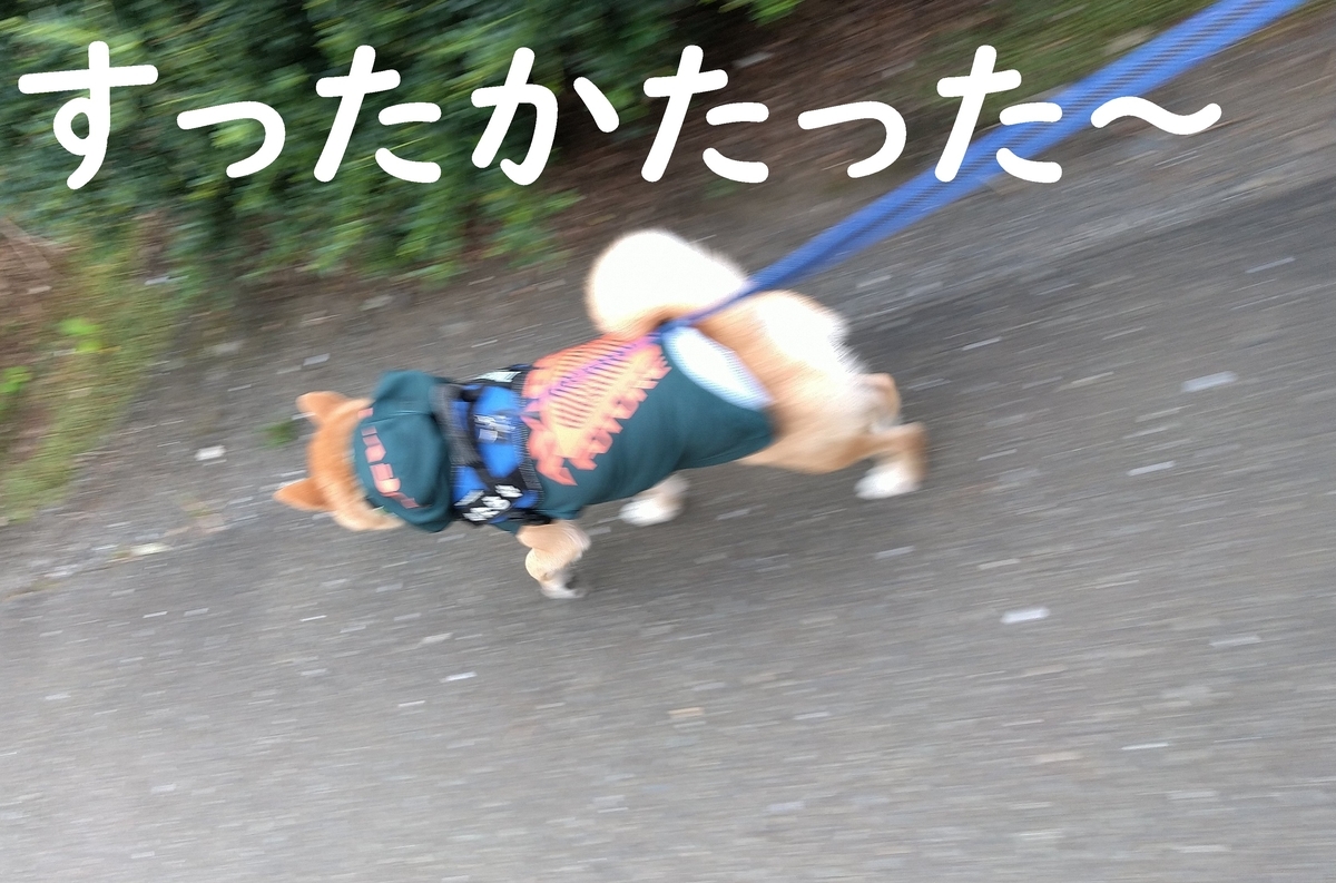 f:id:hanatara:20210728074728j:plain