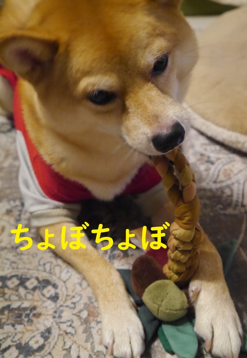 f:id:hanatara:20210814114428j:plain