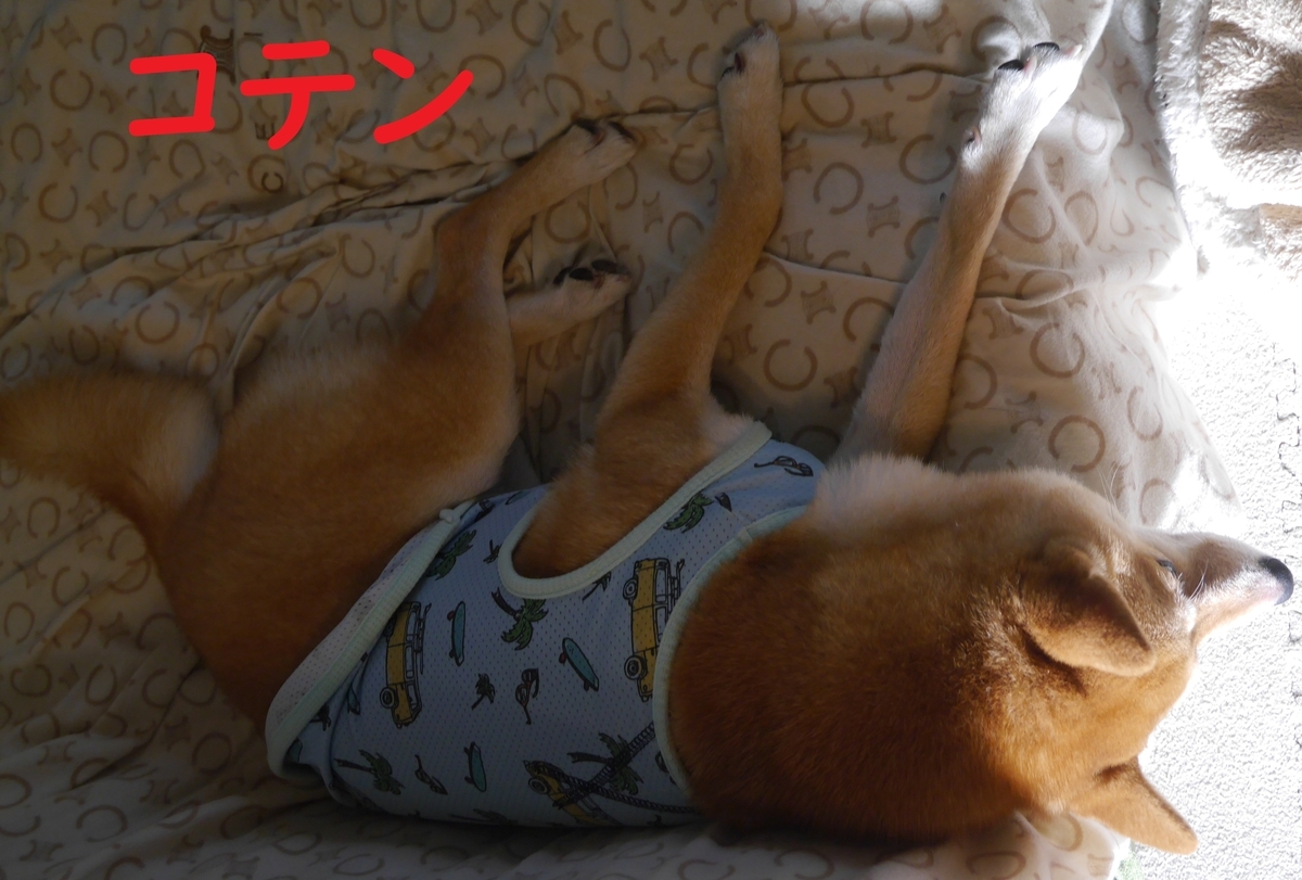 f:id:hanatara:20210822104810j:plain
