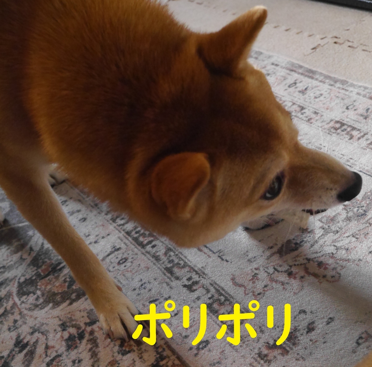 f:id:hanatara:20210829124519j:plain