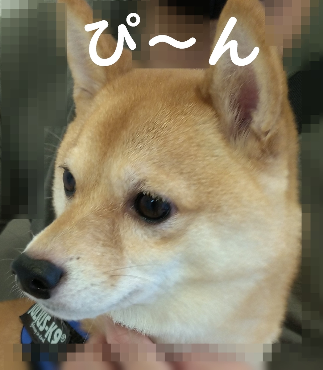 f:id:hanatara:20210926114426j:plain