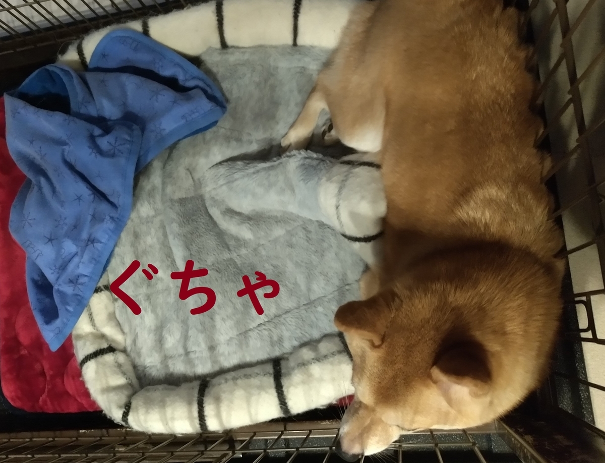f:id:hanatara:20210928083001j:plain