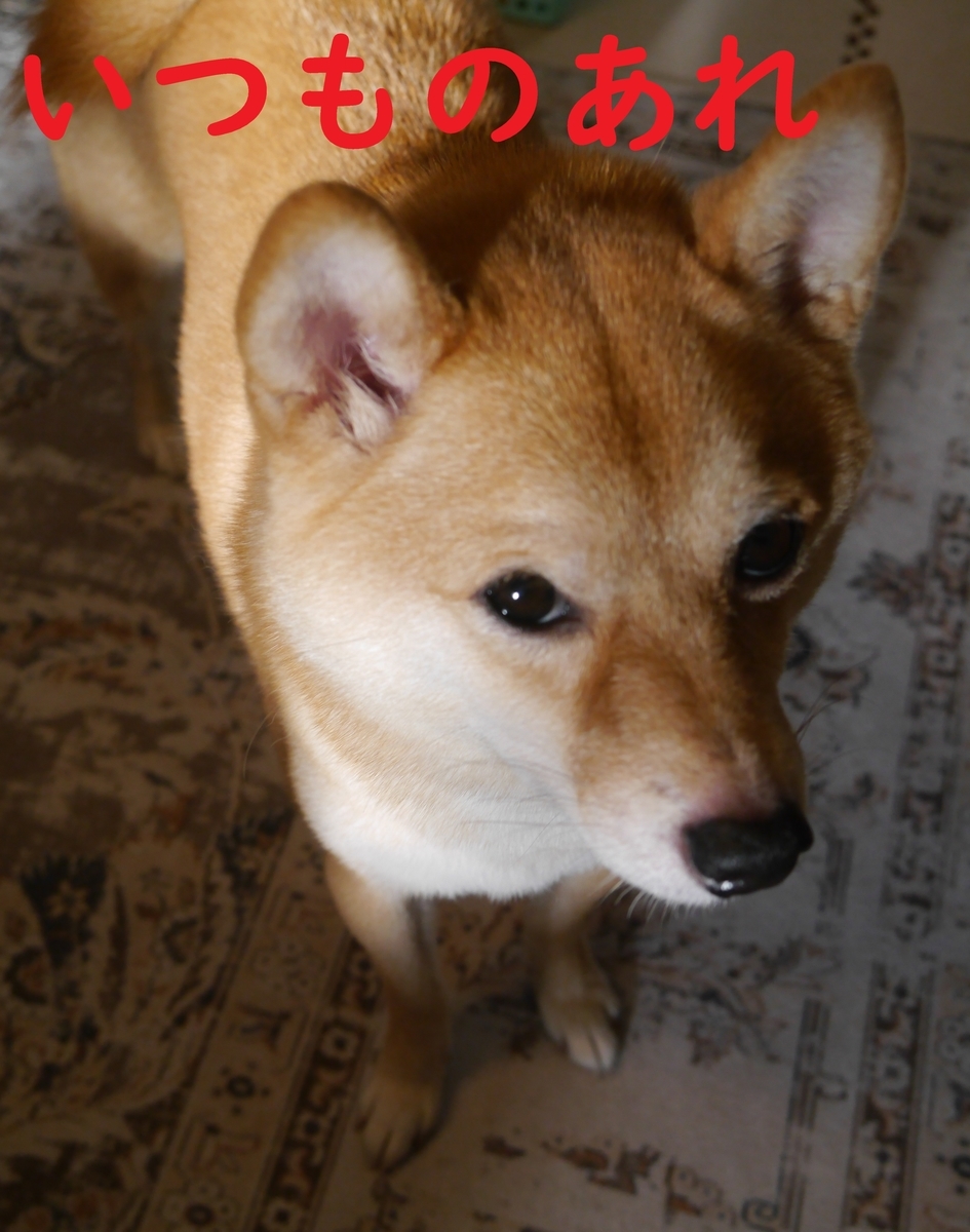 f:id:hanatara:20210928092030j:plain