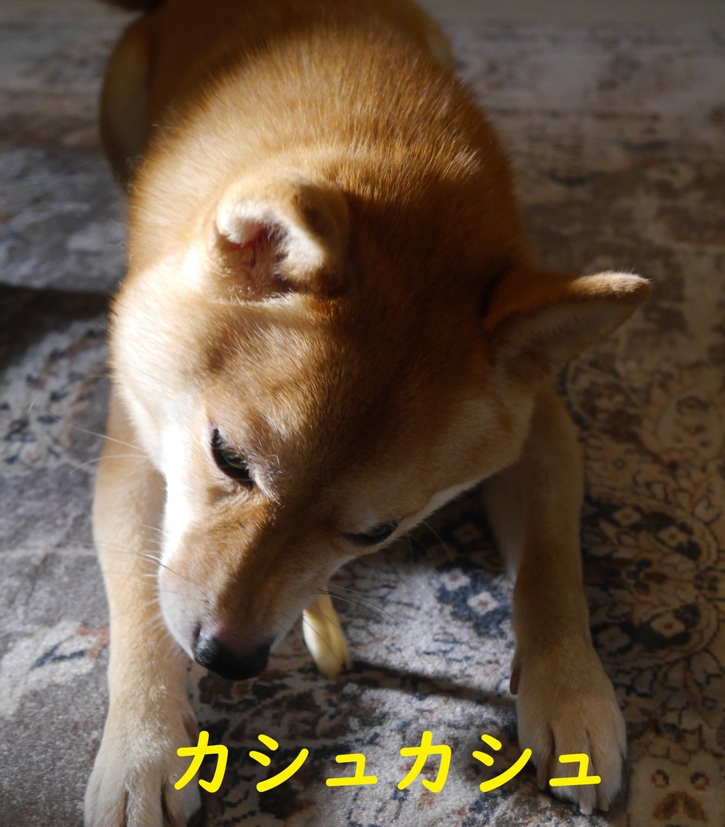 f:id:hanatara:20210928092349j:plain