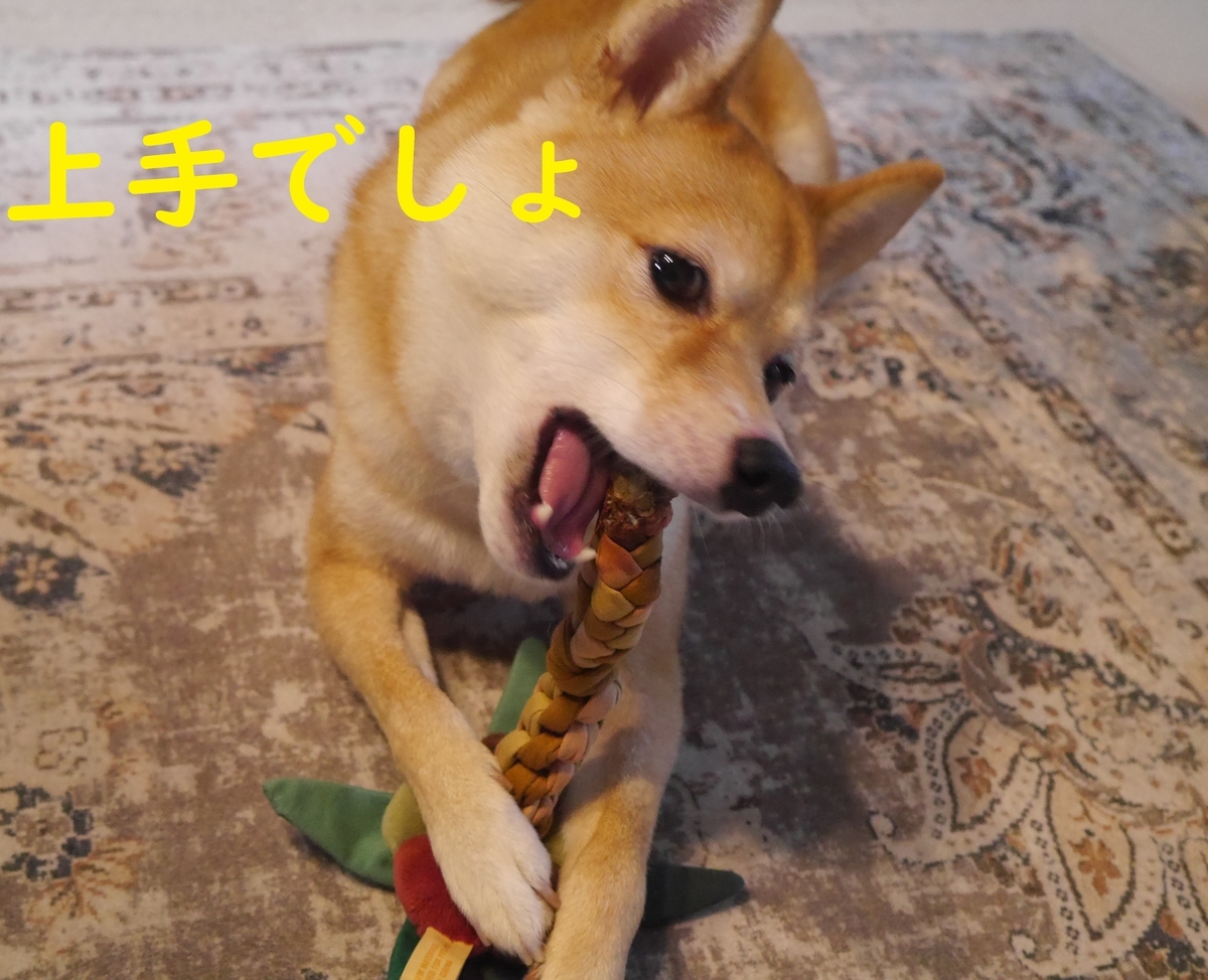 f:id:hanatara:20210928093918j:plain