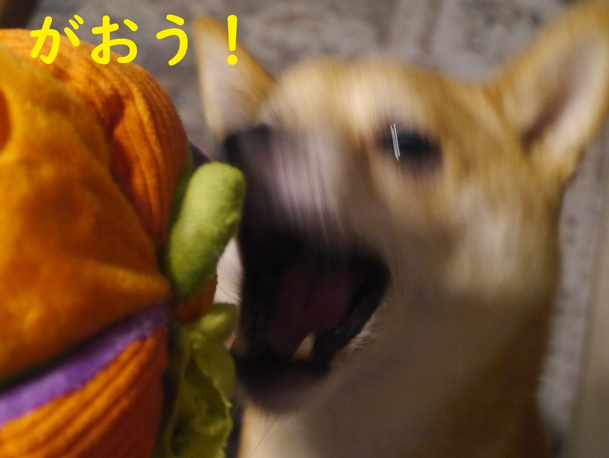 f:id:hanatara:20211003094509j:plain