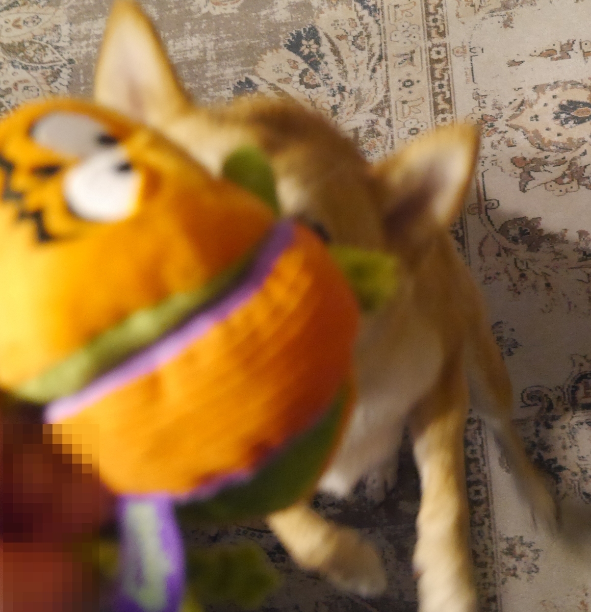 f:id:hanatara:20211003095351j:plain