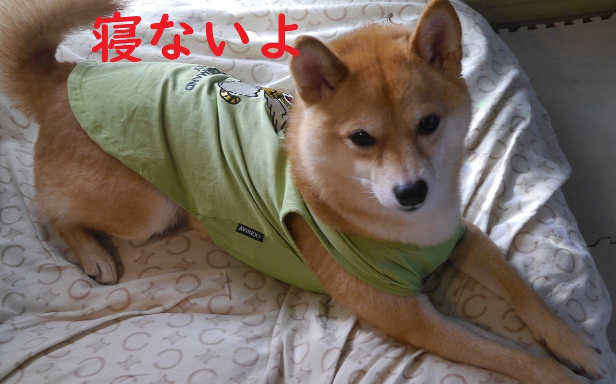 f:id:hanatara:20211010090228j:plain