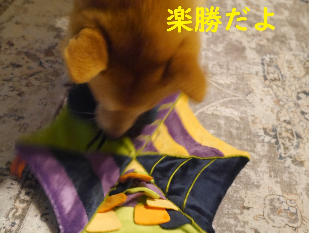 f:id:hanatara:20211019090226j:plain