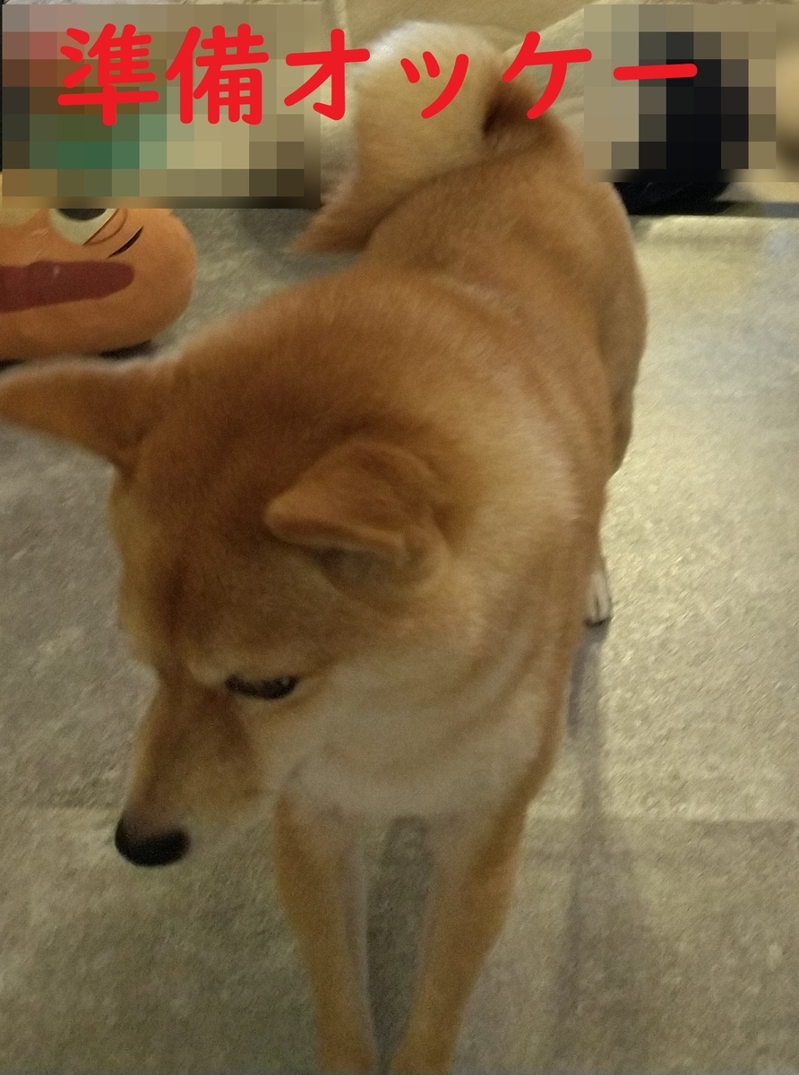 f:id:hanatara:20211031102848j:plain
