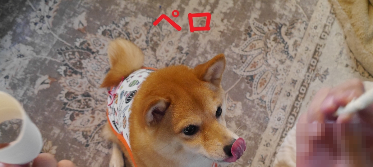 f:id:hanatara:20211031110758j:plain