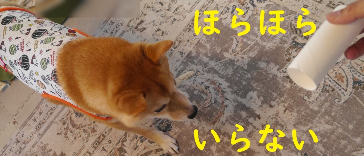 f:id:hanatara:20211031111550j:plain
