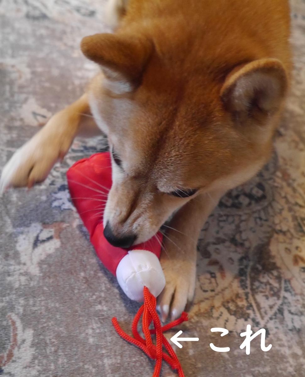 f:id:hanatara:20211117093901j:plain
