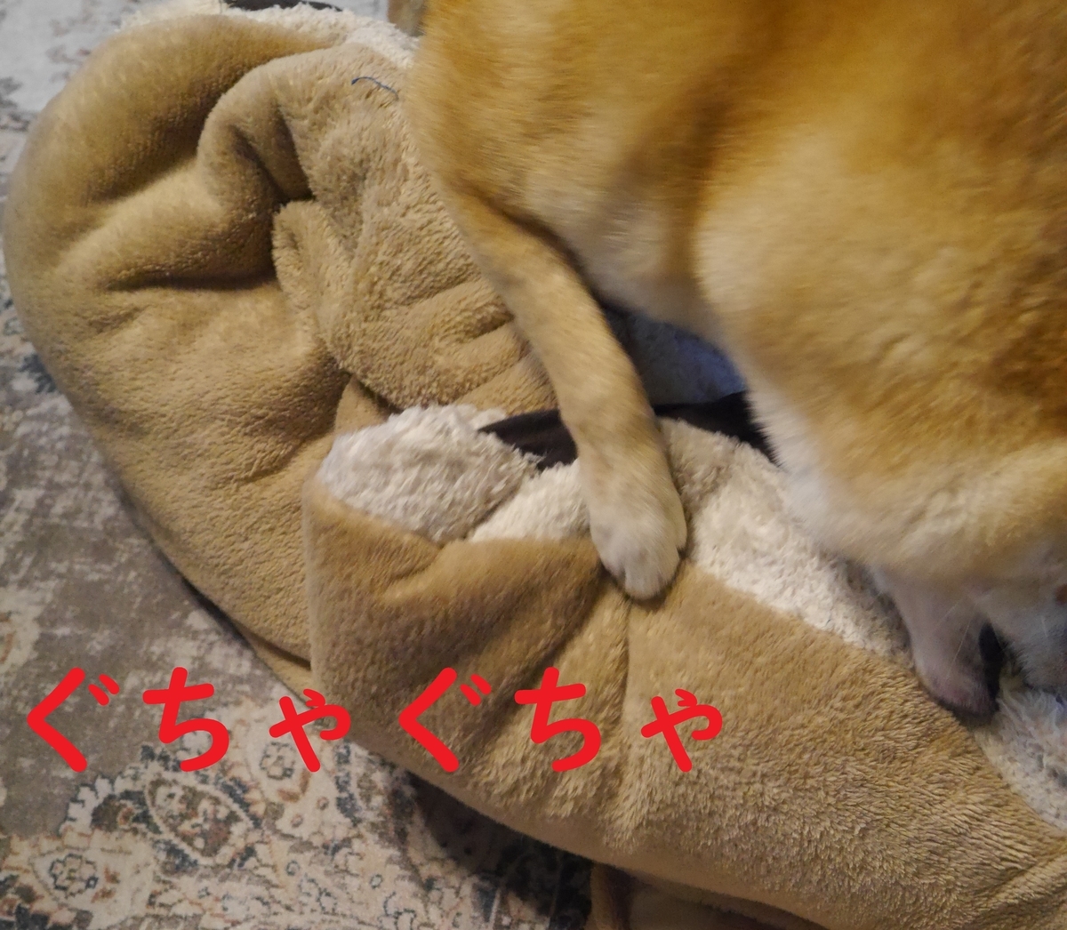 f:id:hanatara:20211121091135j:plain