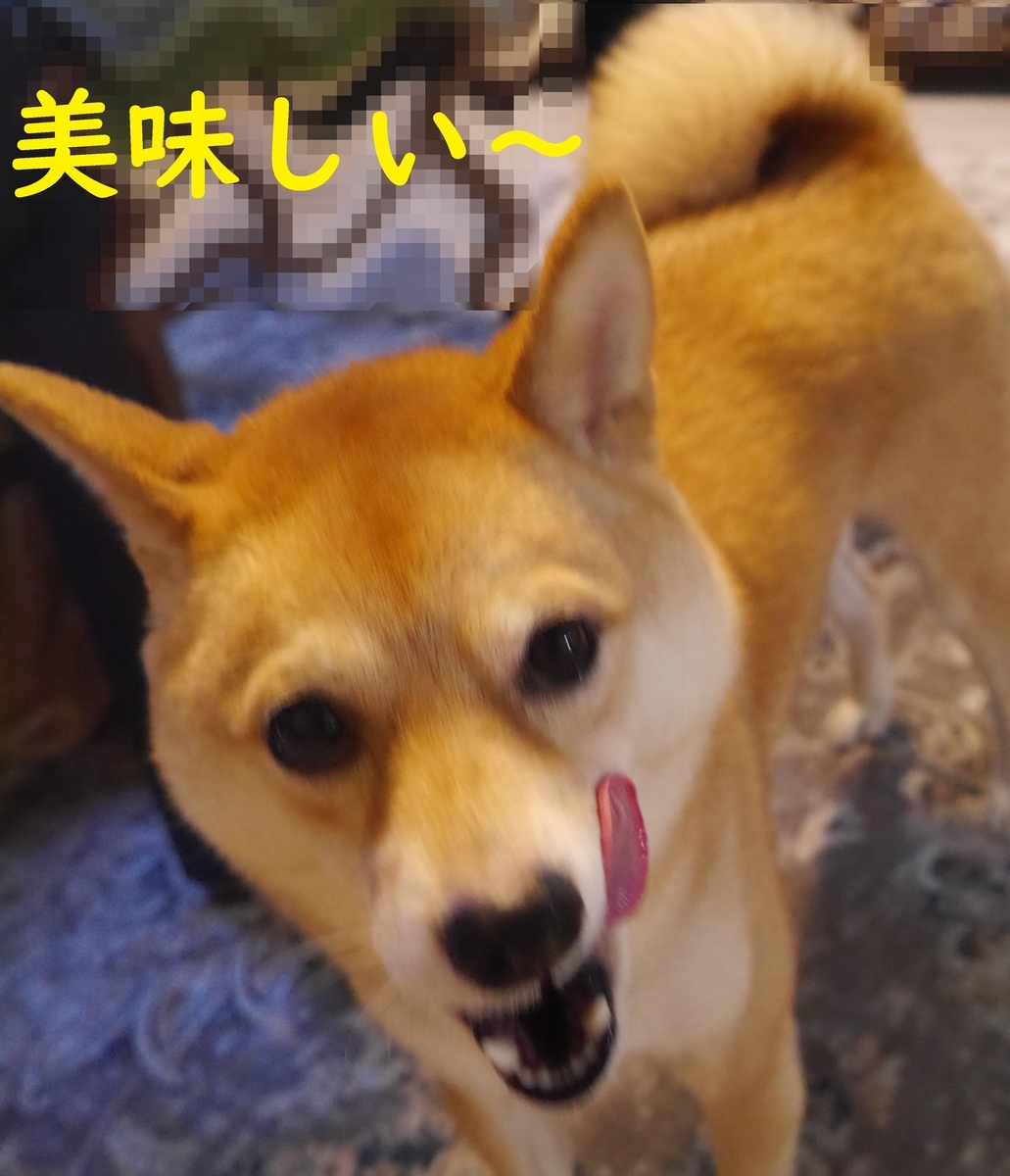 f:id:hanatara:20211121092240j:plain